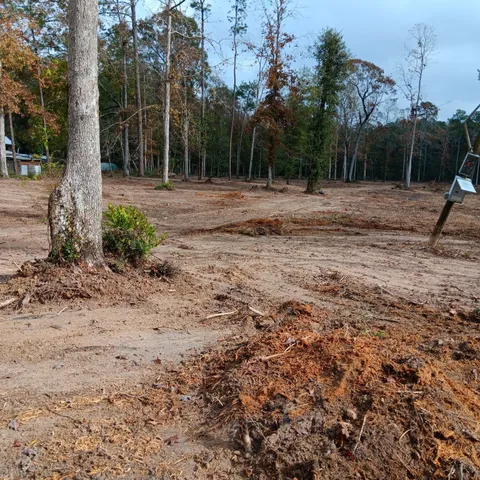 $130,000 | Lot 22 Plum Pudding Road, Livingston, TX 77351