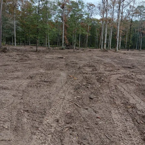 $130,000 | Lot 22 Plum Pudding Road, Livingston, TX 77351