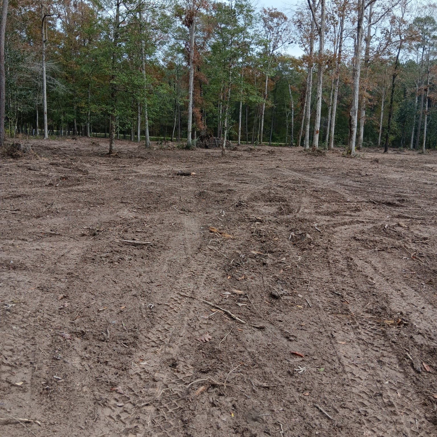 Lot 22 Plum Pudding Road Livingston, TX 77351 - Photo 14 of 17