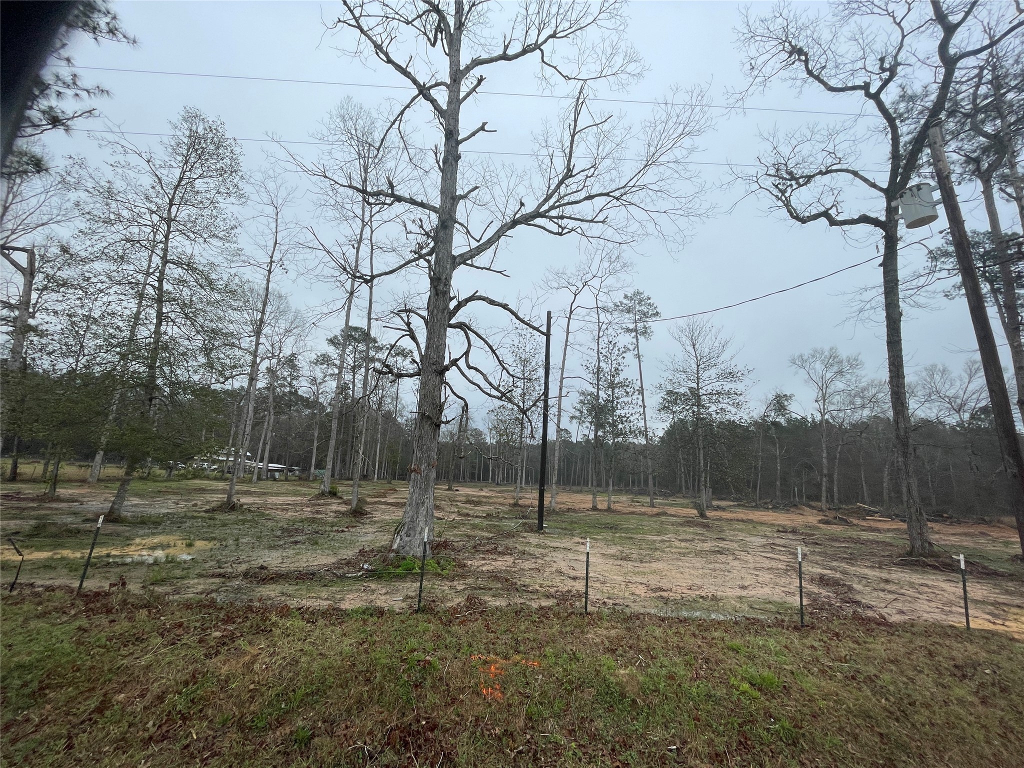 Lot 22 Plum Pudding Road Livingston, TX 77351 - Photo 16 of 17