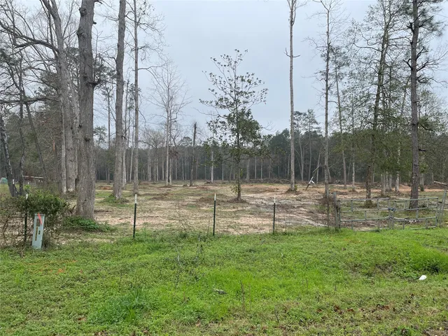 $130,000 | Lot 22 Plum Pudding Road, Livingston, TX 77351