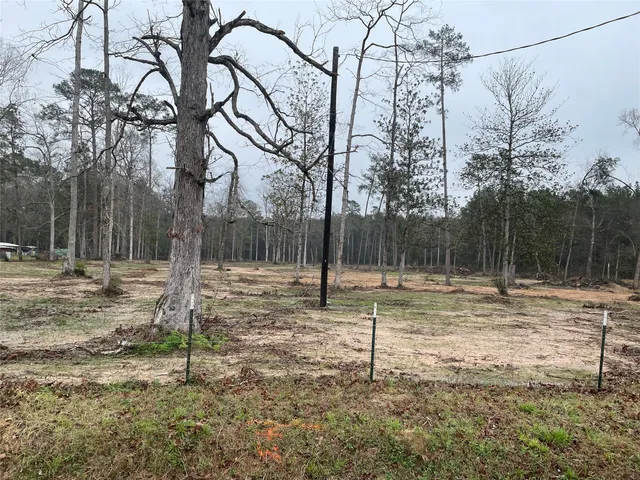 $130,000 | Lot 22 Plum Pudding Road, Livingston, TX 77351