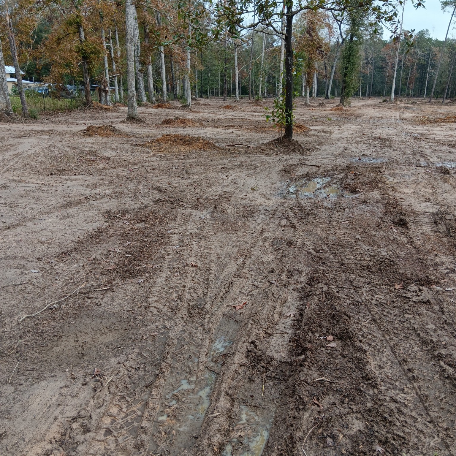 Lot 22 Plum Pudding Road Livingston, TX 77351 - Photo 9 of 17