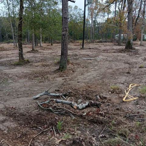 $130,000 | Lot 22 Plum Pudding Road, Livingston, TX 77351