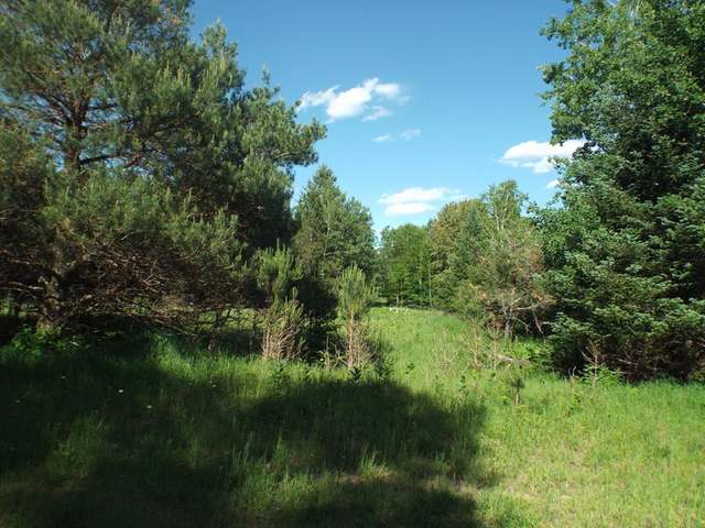 3.4-acre Spafford Road Rhinelander, WI 54501 - Photo 9 of 12 Gallery Image 9