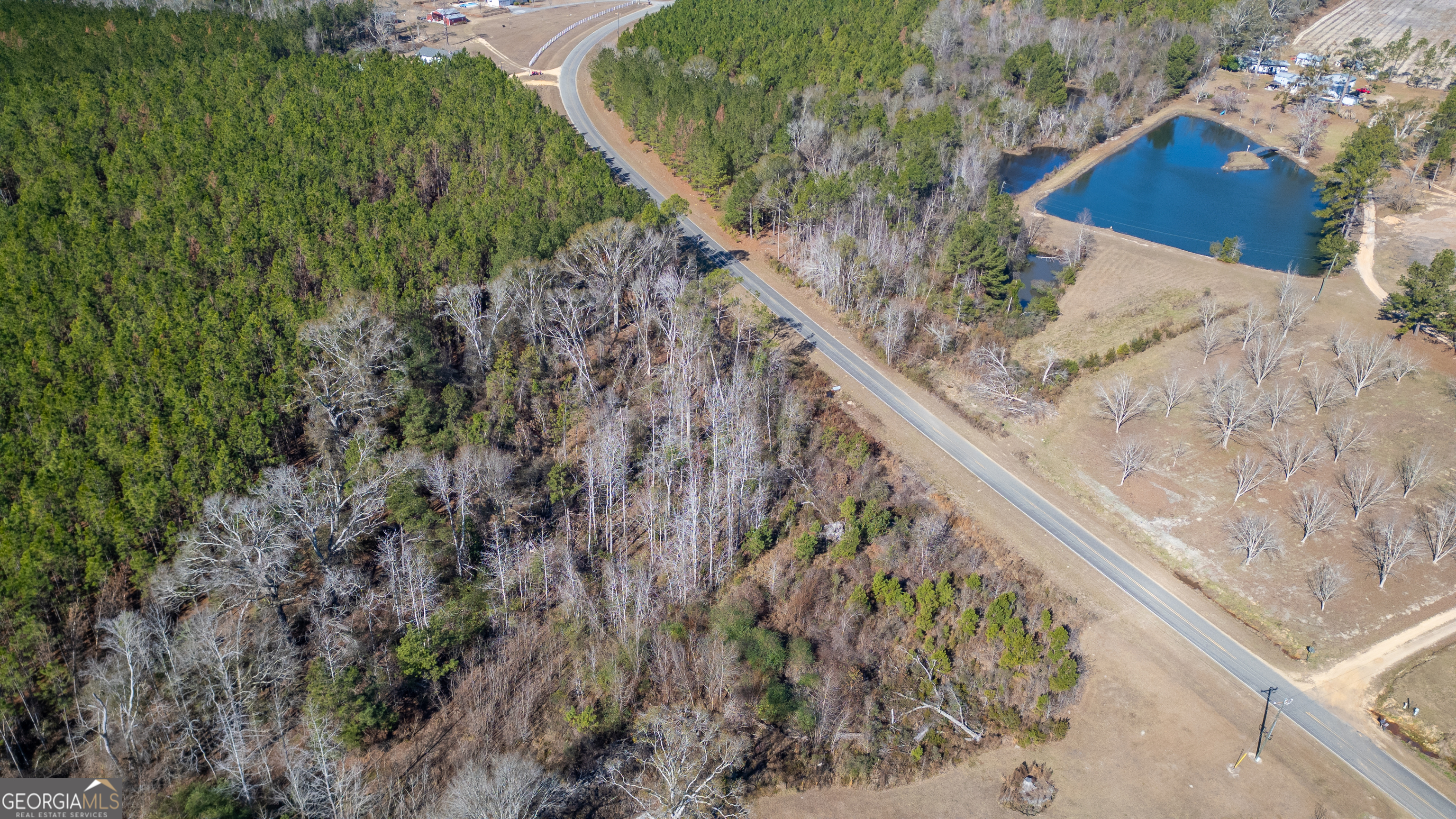 0 Shenandoah Road Alma, GA 31510 - Photo 5 of 8 a view of a dry yard with trees