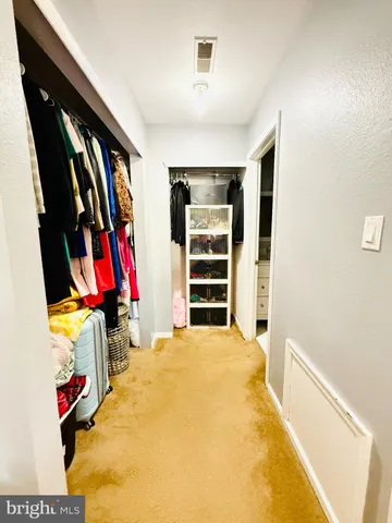 a view of a closet with storage