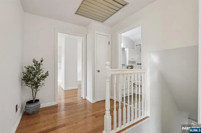 a view of a hallway with wooden floor and a potted plant