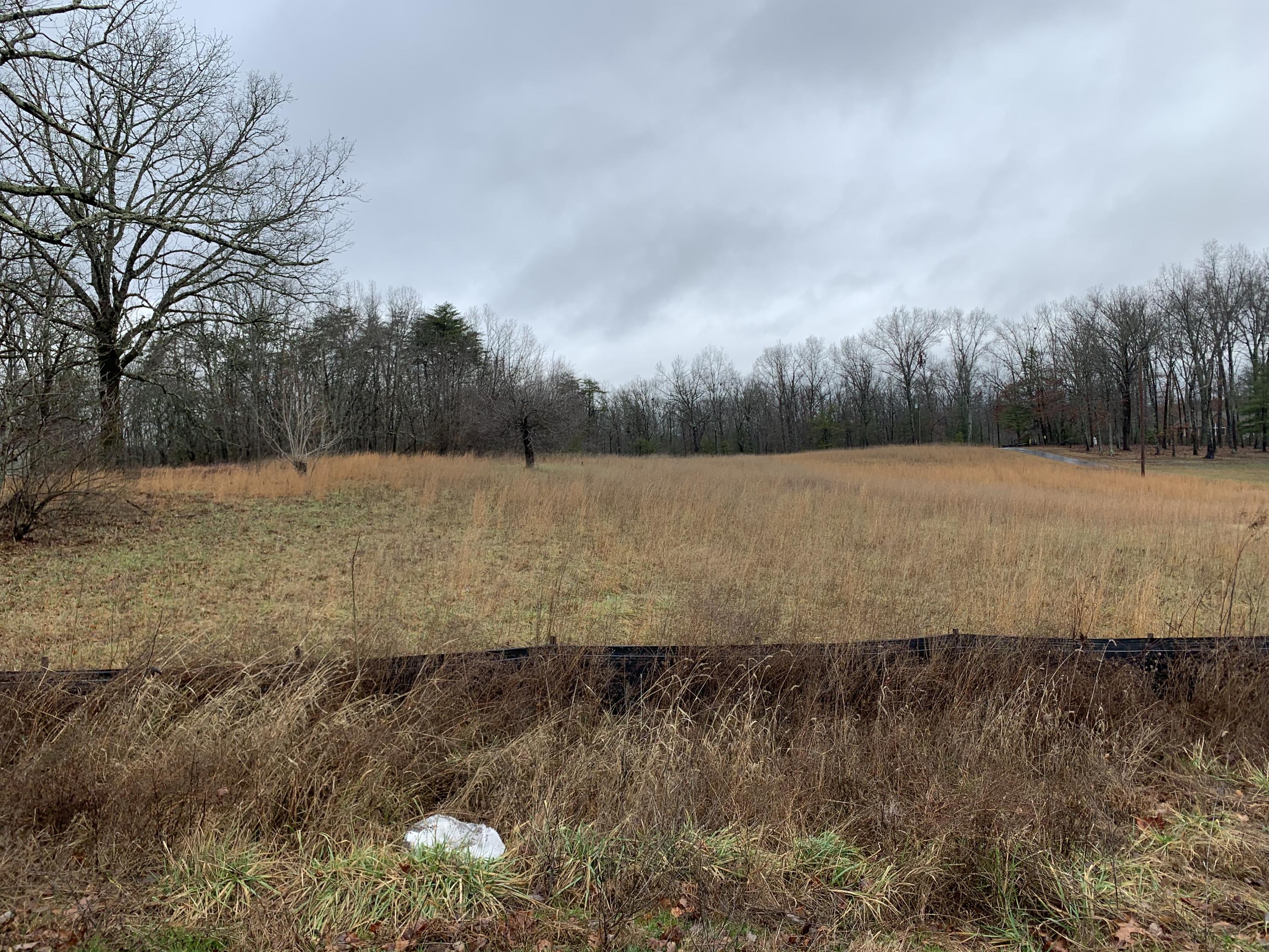 3593 Peavine Road Crossville, TN 38571 - Photo 1 of 8 IMG_2480
