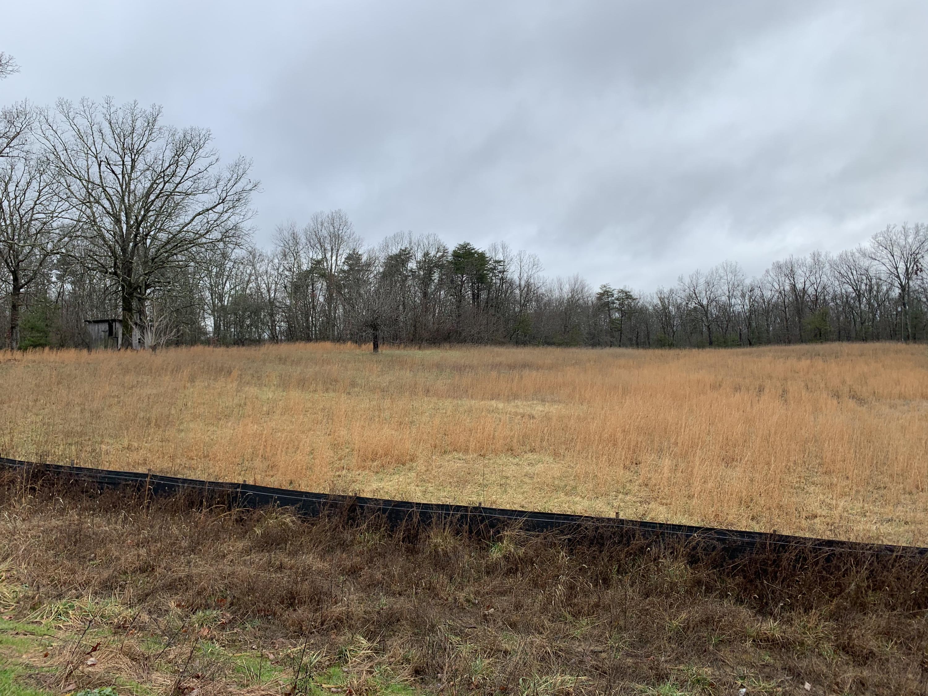 3593 Peavine Road Crossville, TN 38571 - Photo 5 of 8 IMG_2478