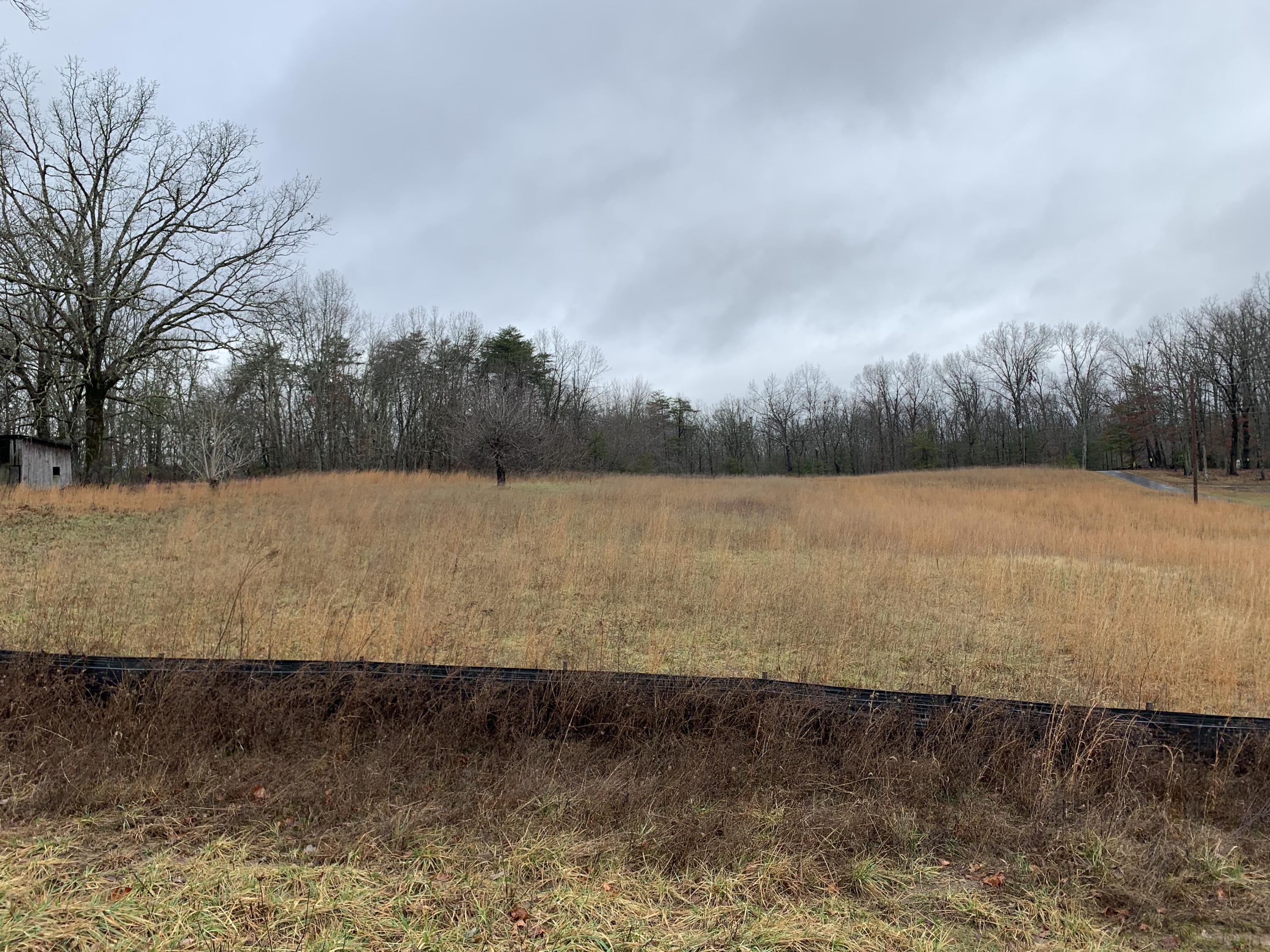 3593 Peavine Road Crossville, TN 38571 - Photo 8 of 8 IMG_2479