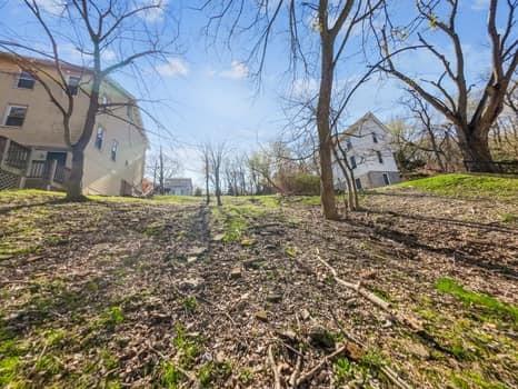 524 Grace Street Pittsburgh, PA 15211 - Photo 9 of 9 Rear View from Rubicon Street