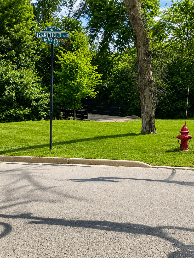6297 Garfield Ridge Court Burr Ridge, IL 60527 - Photo 3 of 4 Gallery Image 3