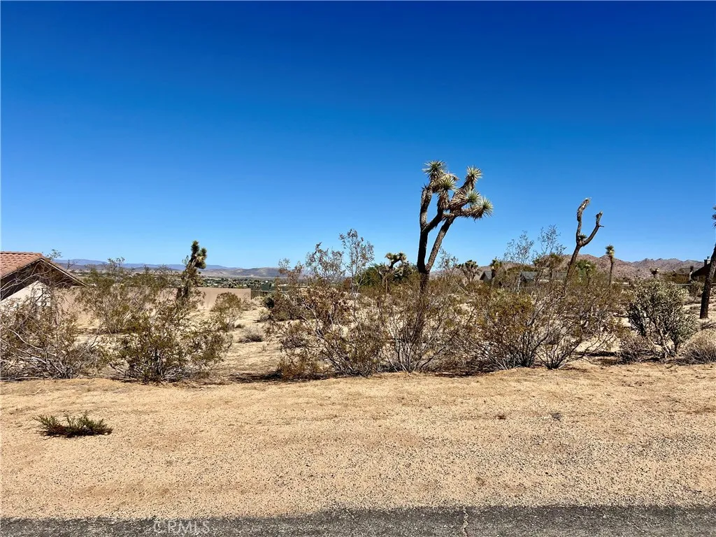 0 Torres Joshua Tree, CA 92252 - Photo 2 of 11 a view of a snow on a beach