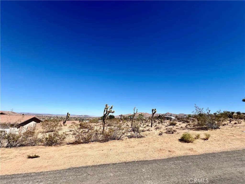 0 Torres Joshua Tree, CA 92252 - Photo 10 of 11 a view of a snow in the middle of a yard