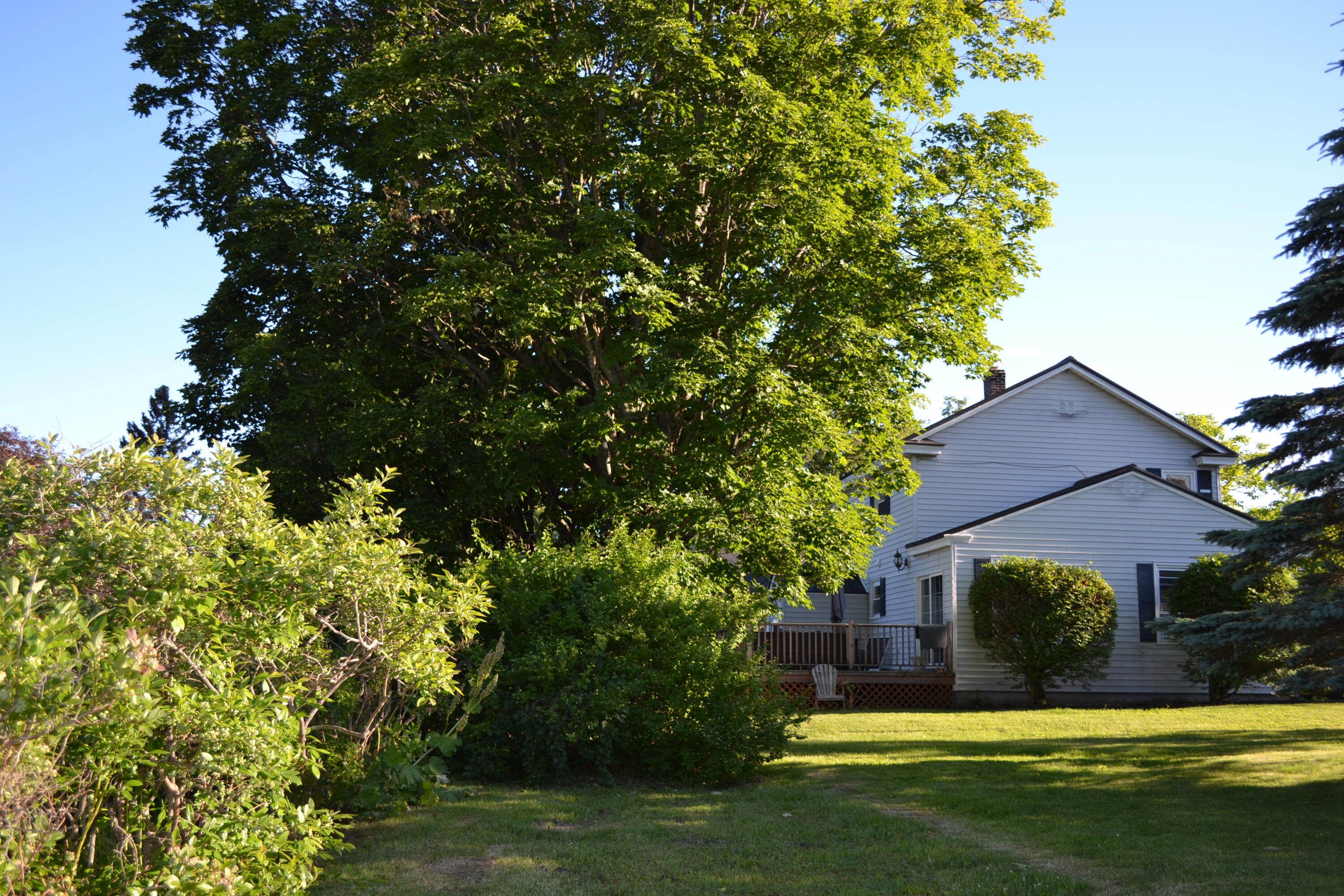 5 Vose Street Waterville, ME 04901 - Photo 3 of 34 DSC_0458