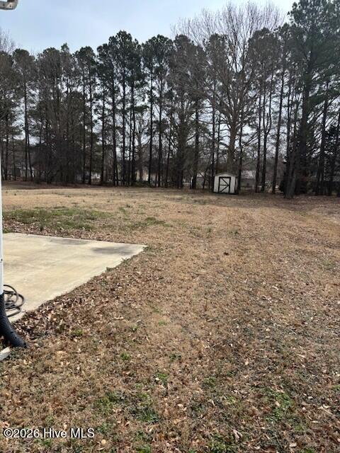1011 Consolidated Road Elizabeth City, NC 27909 - Photo 12 of 13 Back Yard from side