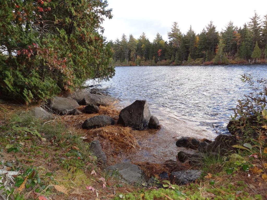 3 Sunrise Point Rd Lake View Milo, ME 04463 - Photo 11 of 15 where logs were pulled out of water,...