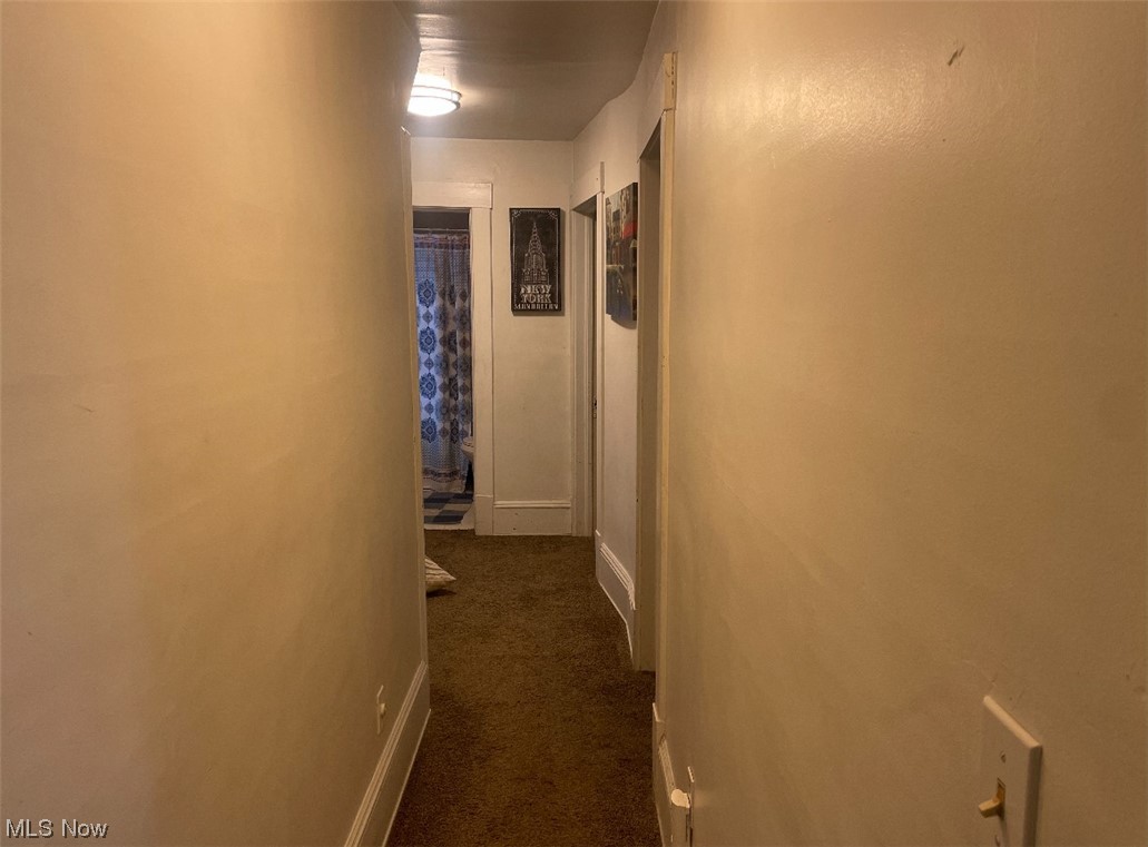 1000 Nathaniel Road Cleveland, OH 44110 - Photo 4 of 20 Hallway featuring dark carpet