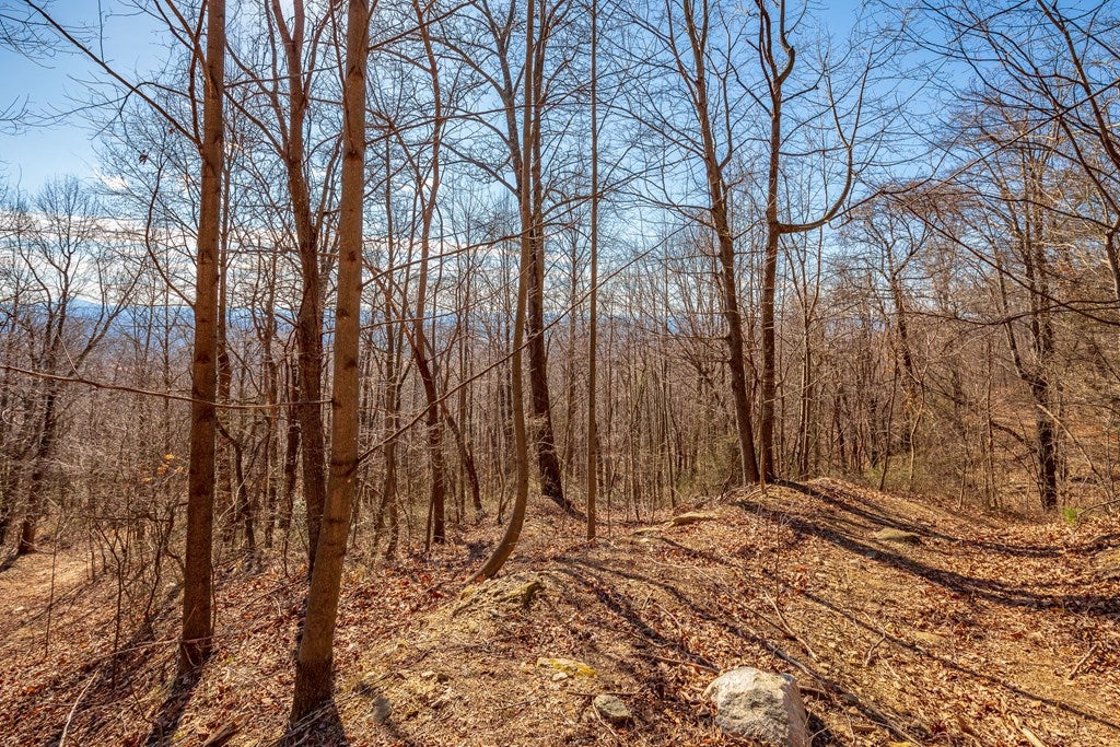 Lot 124 Spring Pond Trail, Unit 124 Fancy Gap, VA 24328 - Photo 8 of 51 Gallery Image 8