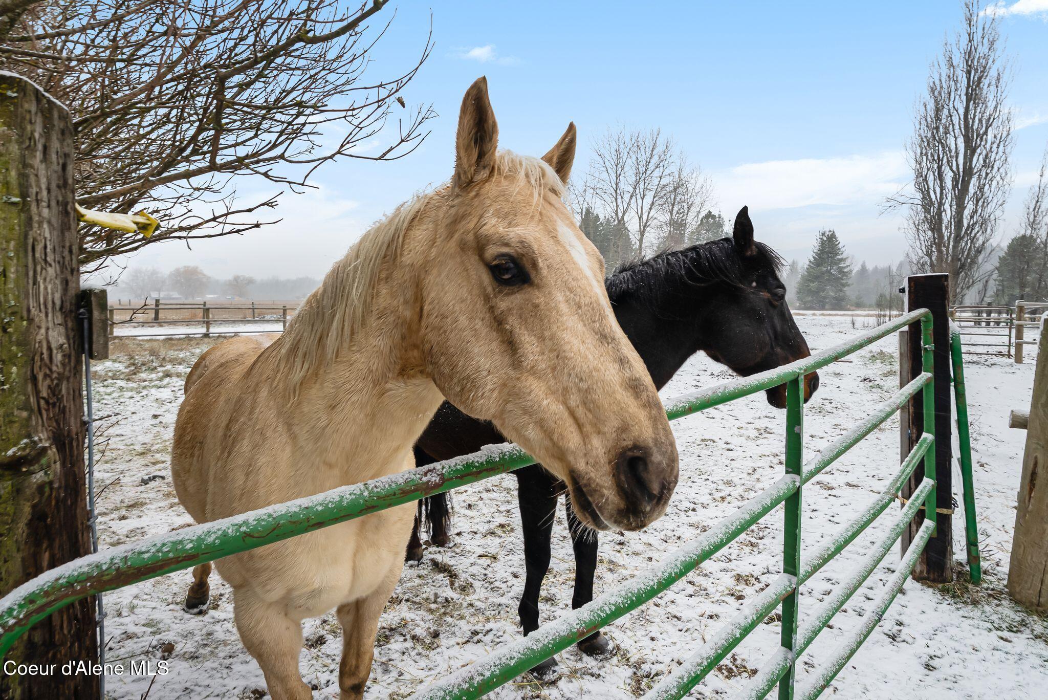 966 North Kootenai Road Sandpoint, ID 83864 - Photo 53 of 78 53_DSC06332