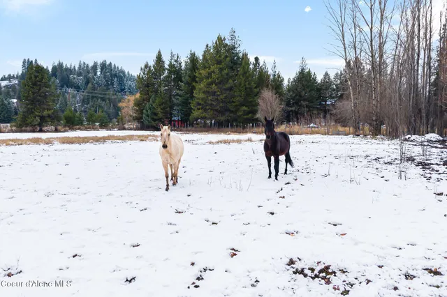 $950,000 | 966 North Kootenai Road, Sandpoint, ID 83864