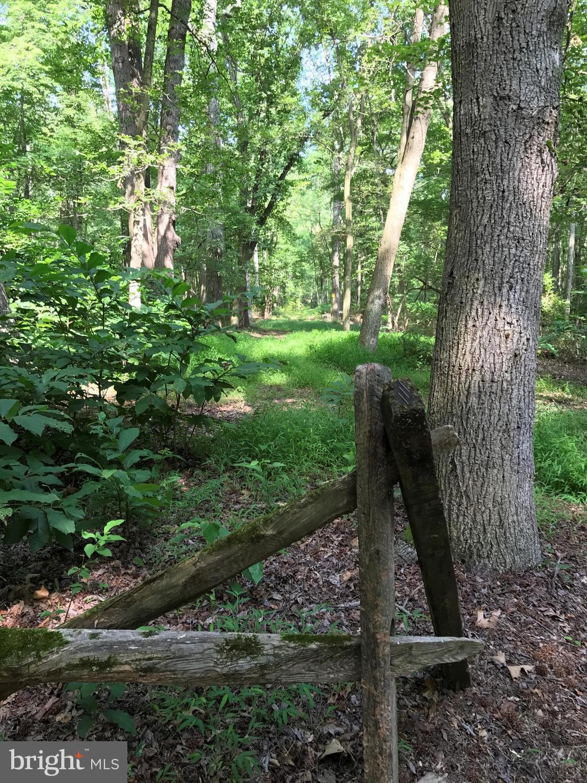 148 Hance Point Road North East, MD 21901 - Photo 12 of 20 One of many beautiful trails!