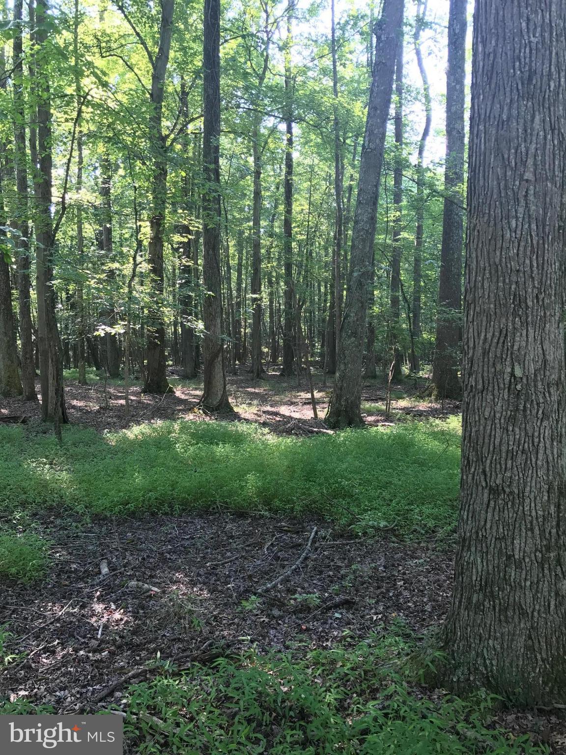 148 Hance Point Road North East, MD 21901 - Photo 17 of 20 View