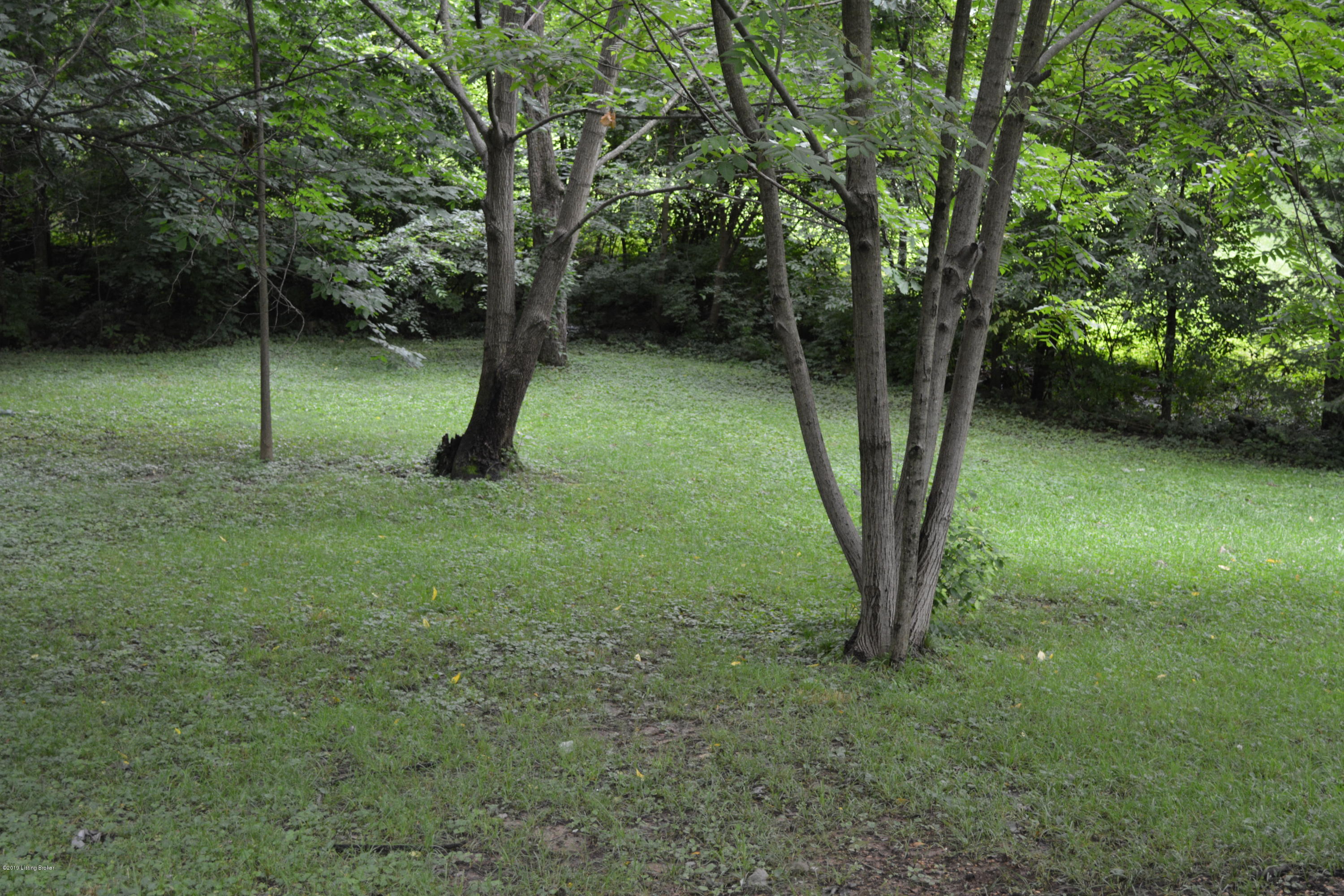 8223 Delido Road Louisville, KY 40219 - Photo 55 of 64 DSC_1613