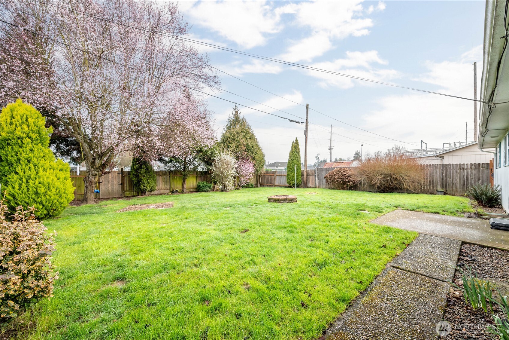 359 Douglas Street Longview, WA 98632 - Photo 28 of 29 a view of a park with large trees