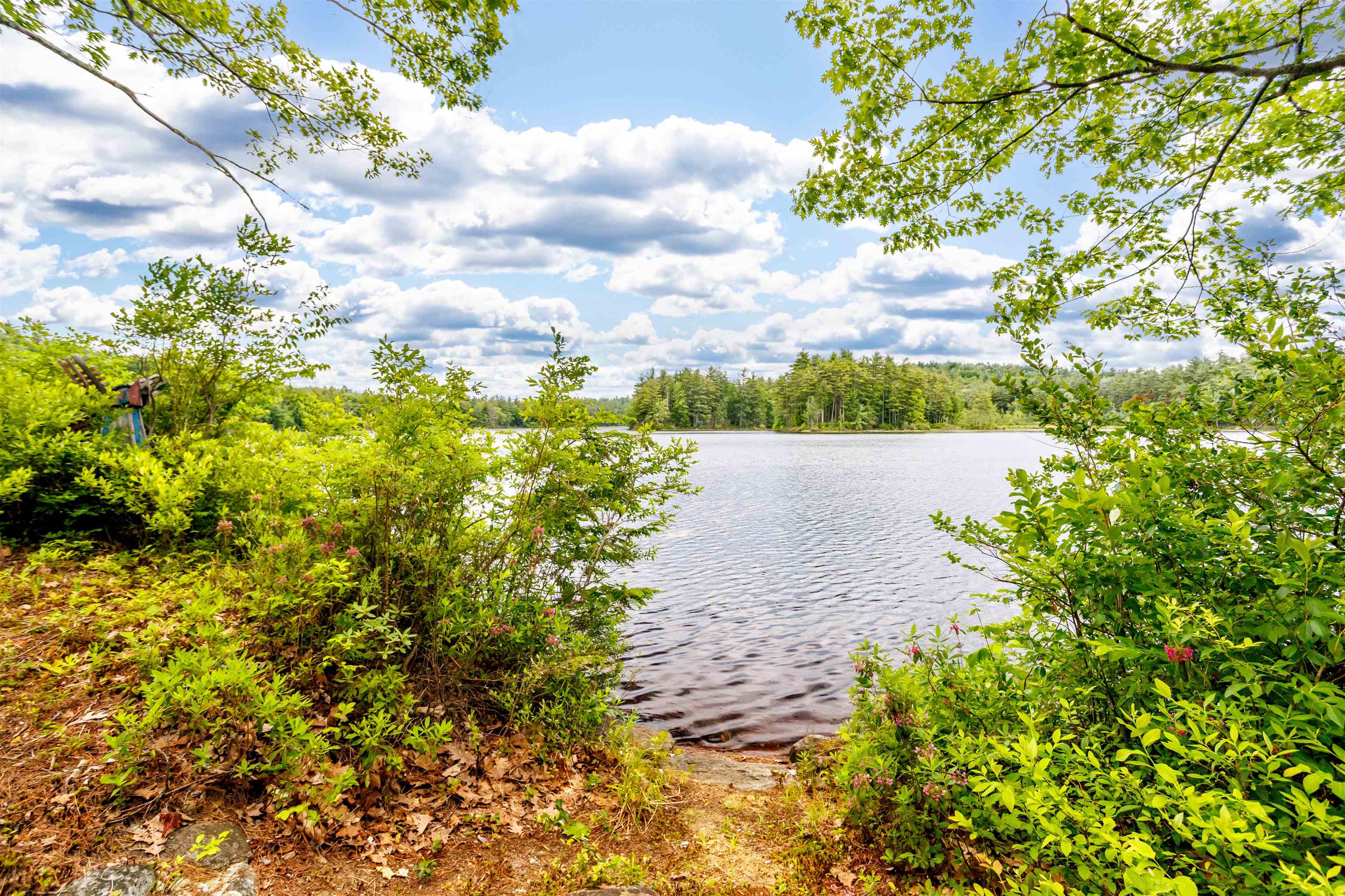 14 Sandy Cove Road Rindge, NH 03461 - Photo 43 of 60