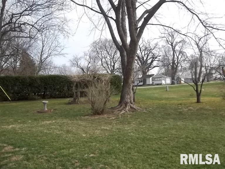 11275 Black Road Fenton, IL 61251 - Photo 9 of 22