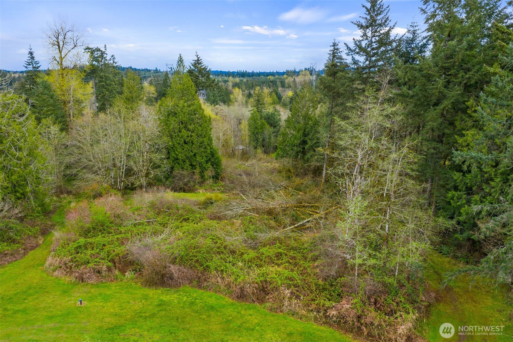 4435 Polehn Road Southwest Rochester, WA 98579 - Photo 26 of 31