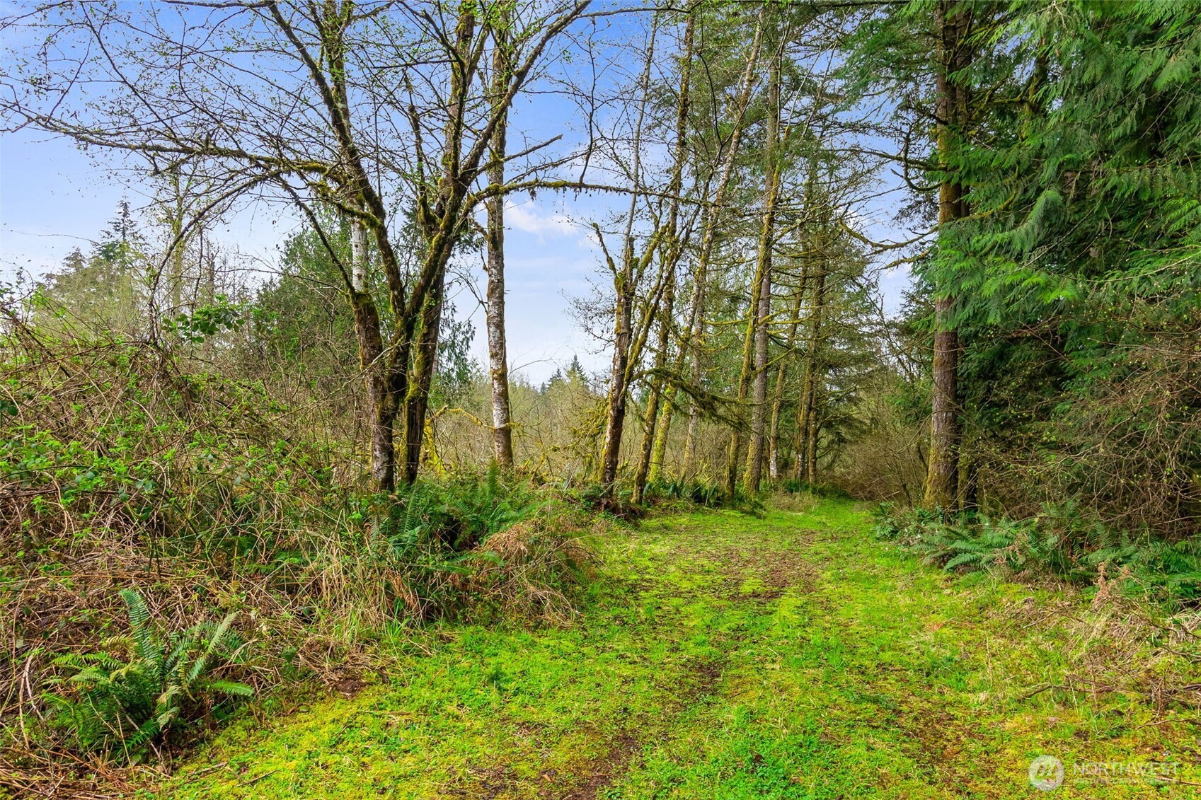 4435 Polehn Road Southwest Rochester, WA 98579 - Photo 27 of 31