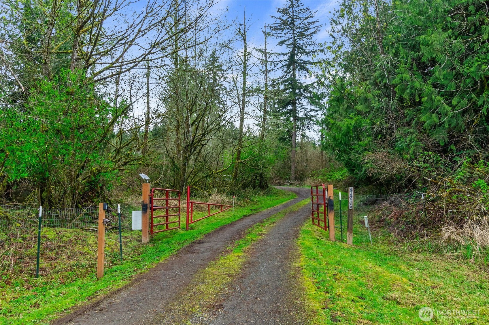 4435 Polehn Road Southwest Rochester, WA 98579 - Photo 4 of 31