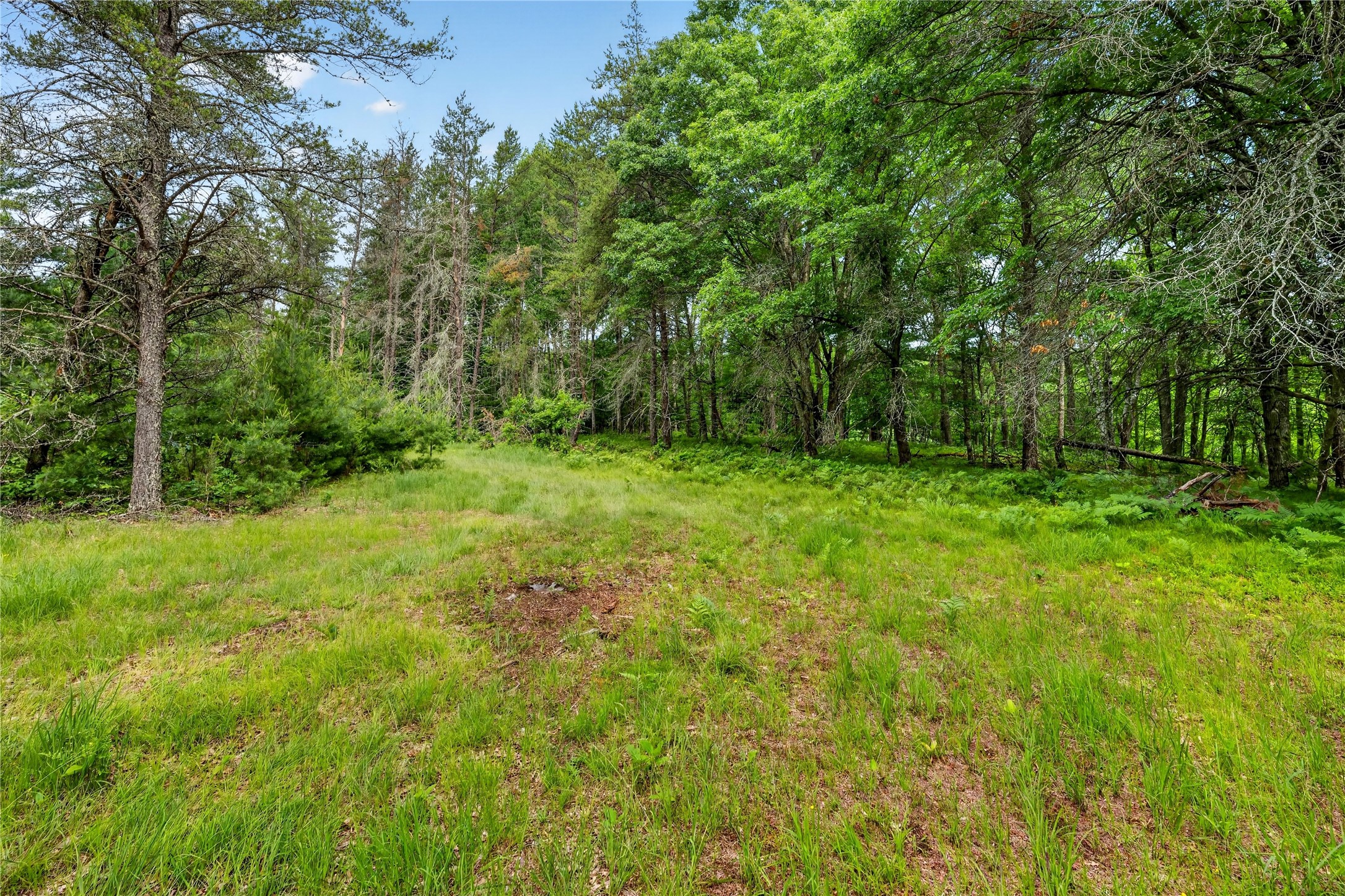0 Loon Lake Road Spooner, WI 54801 - Photo 8 of 18