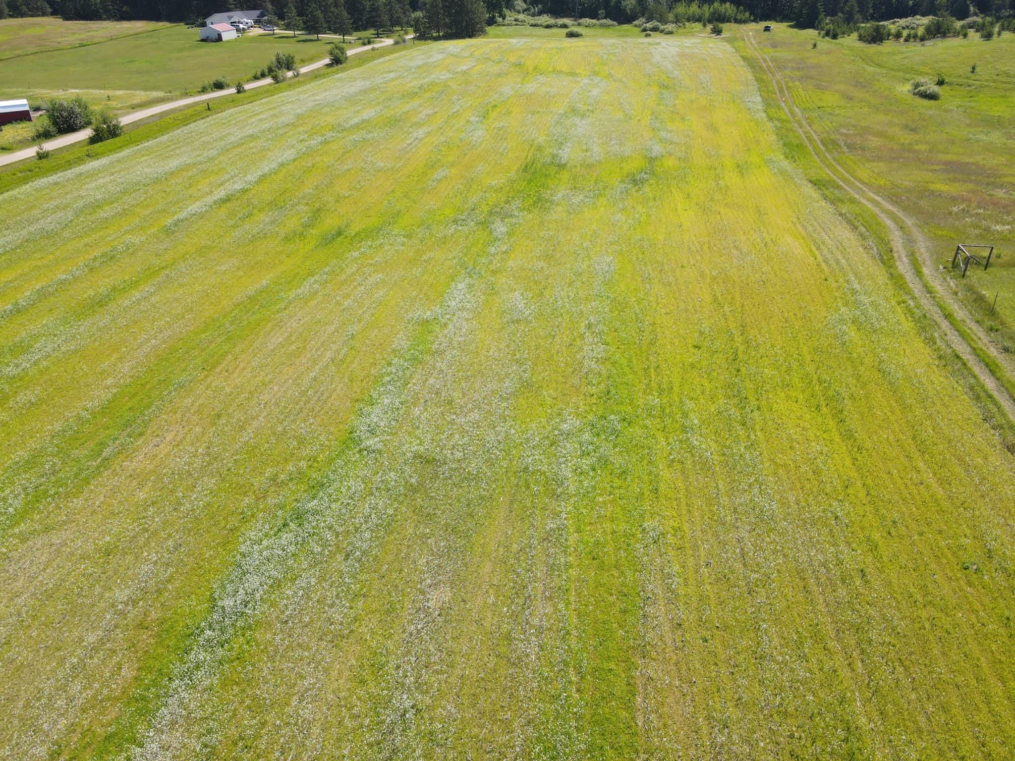 84 Southwest Pine River Southwest Pine River, MN 56474 - Photo 3 of 6