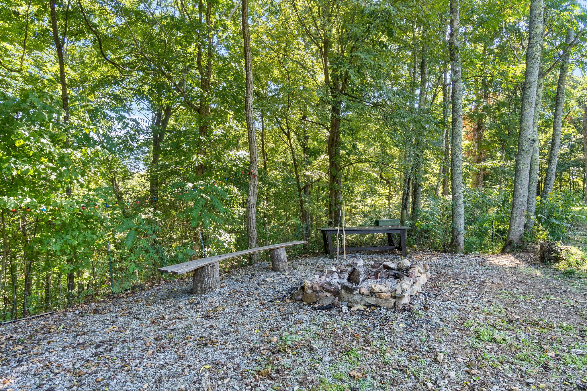 3840 Reddick Road Palmyra, TN 37142 - Photo 51 of 55 Gallery Image 51