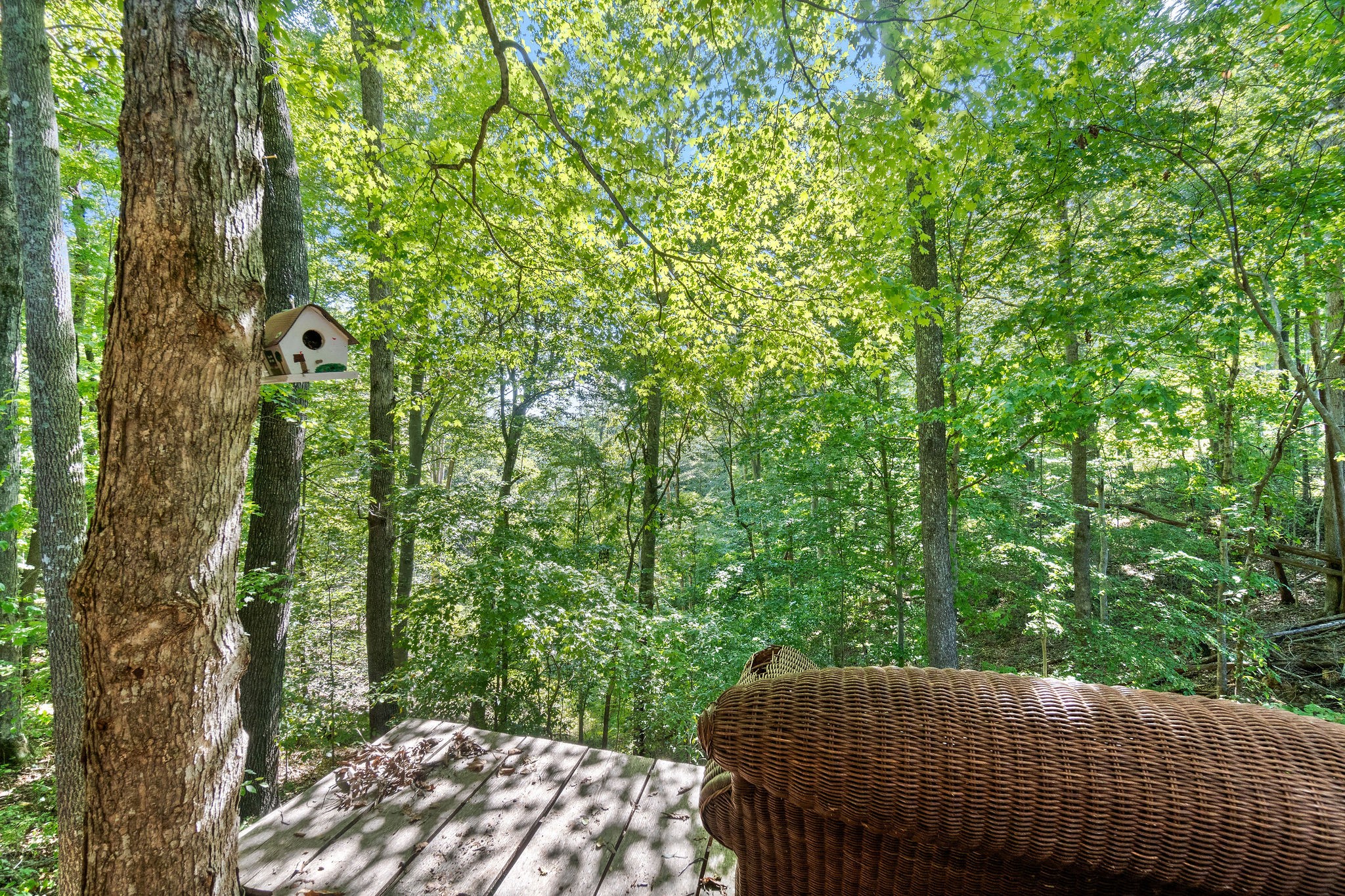 3840 Reddick Road Palmyra, TN 37142 - Photo 55 of 55 Gallery Image 55