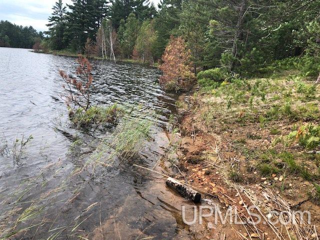 Tbd Adams Trail Seney, MI 49883 - Photo 3 of 16