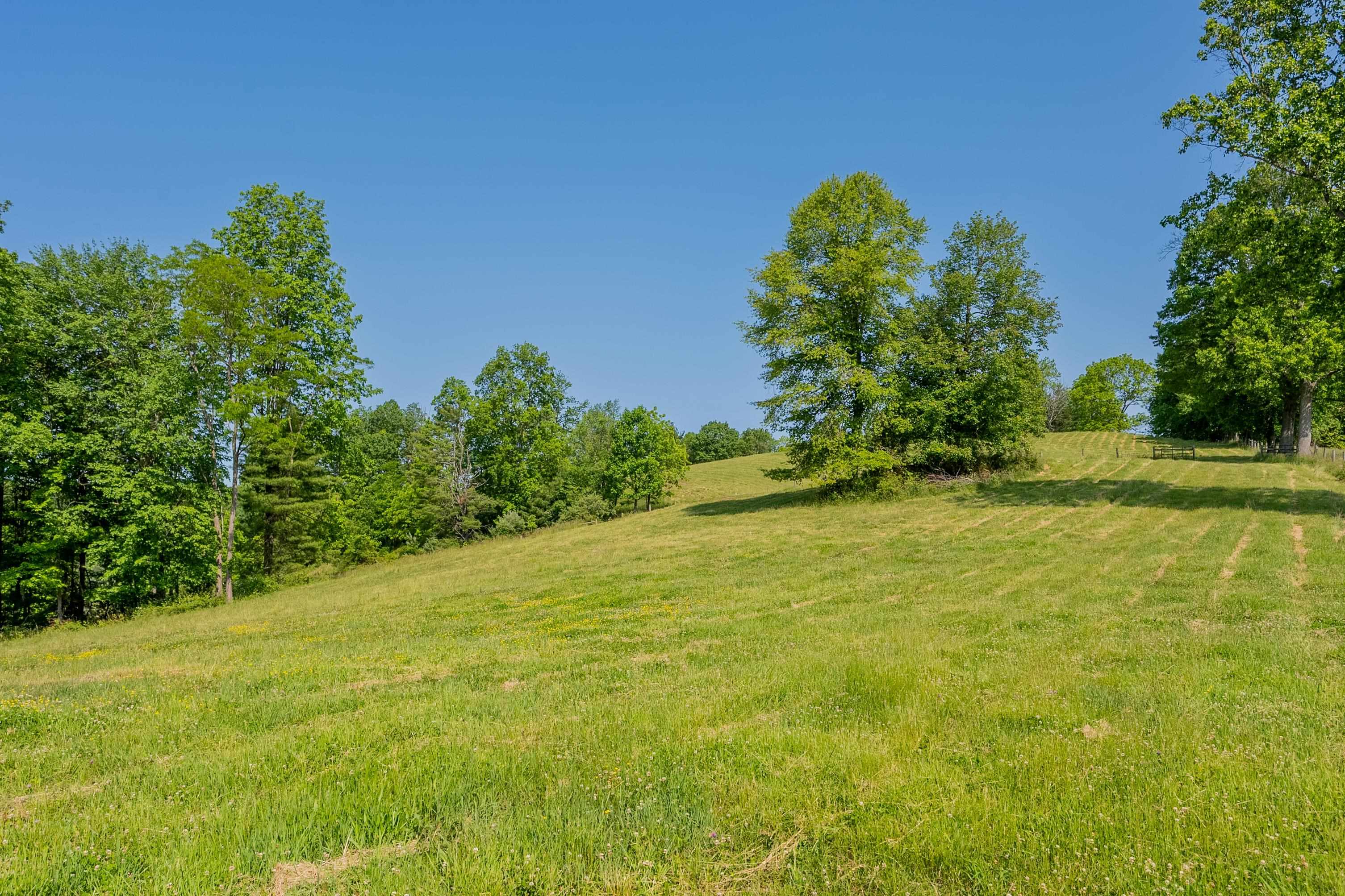Tbd Tbd Gibson Knob Road Laurel Fork, VA 24352 - Photo 42 of 65 Gallery Image 42