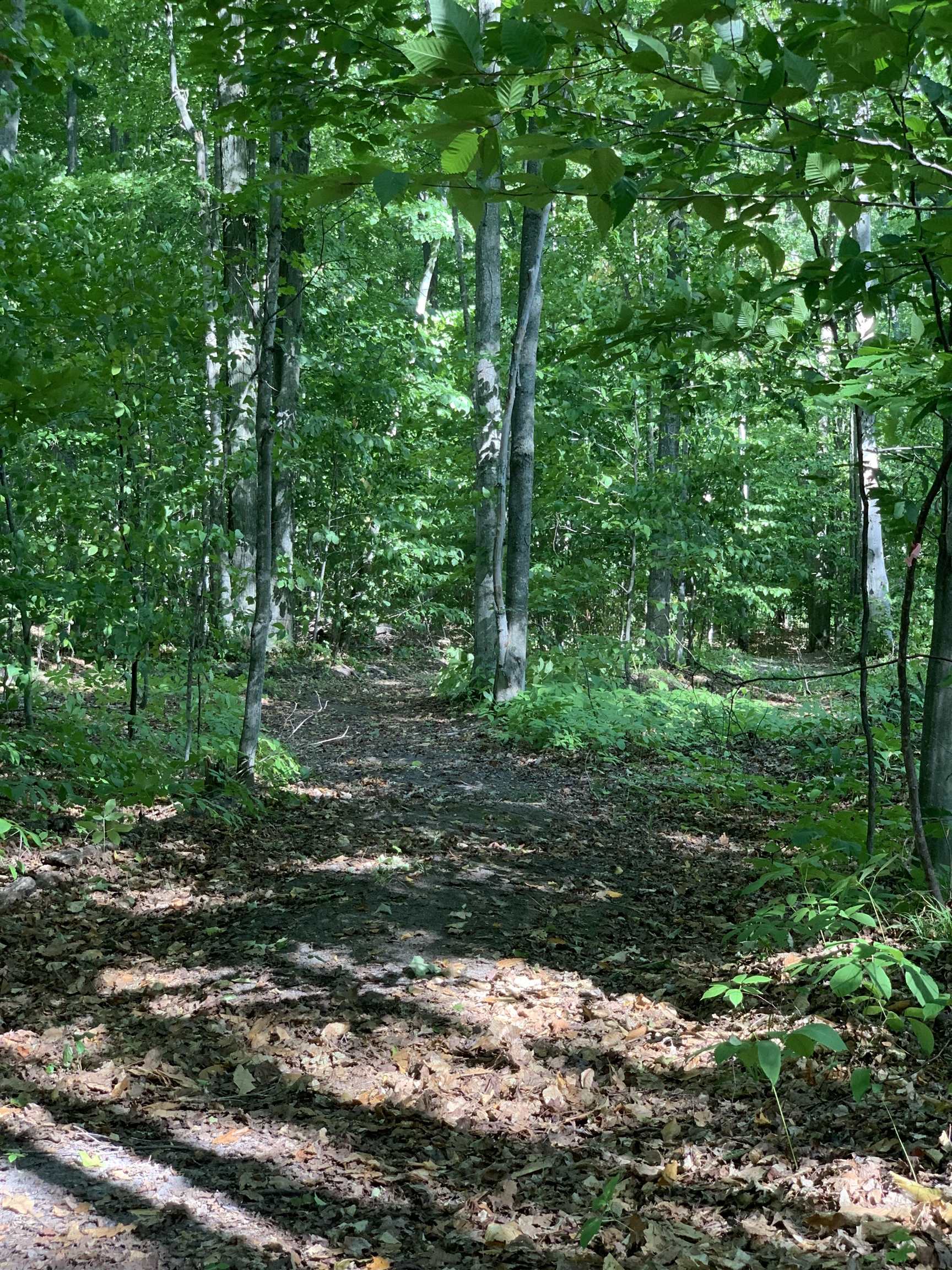 0 Keiser Road Levering, MI 49755 - Photo 11 of 17