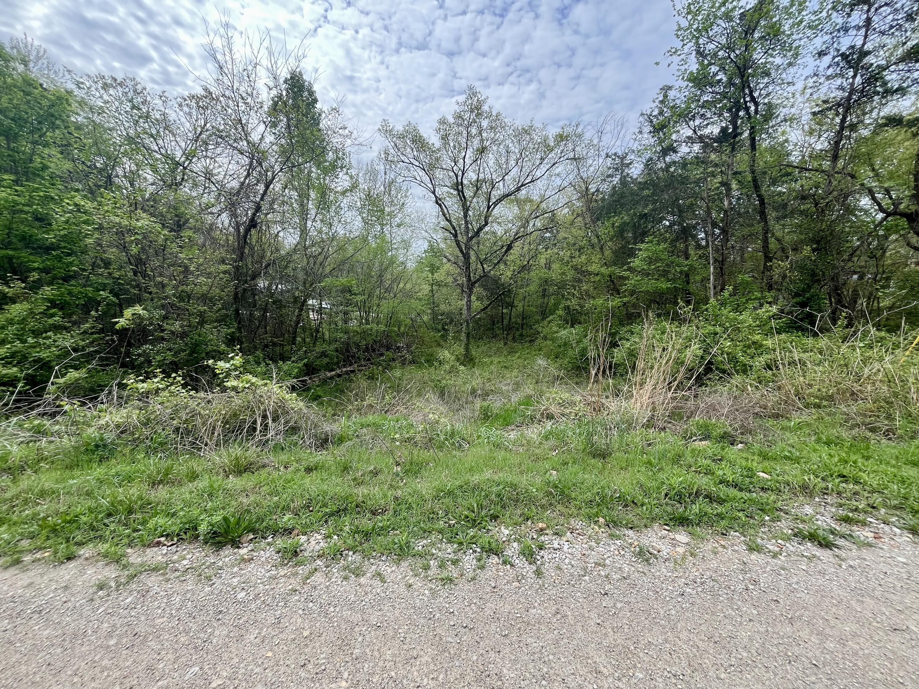 3014 Bluebird Road Rockaway Beach, MO 65740 - Photo 1 of 1 IMG_4660
