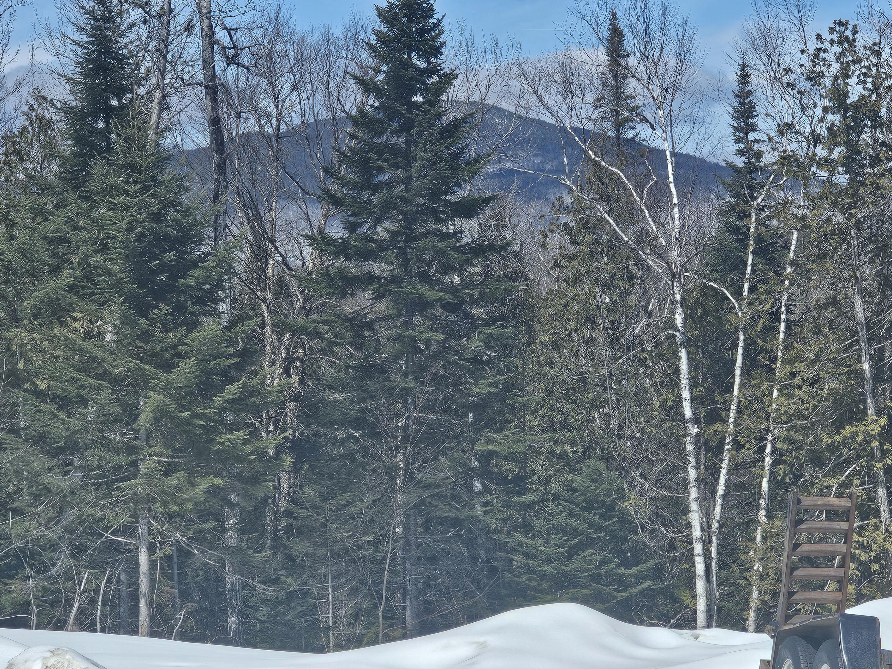 32 Crystal Lake Road Island Falls, ME 04747 - Photo 2 of 31 20260404_124651