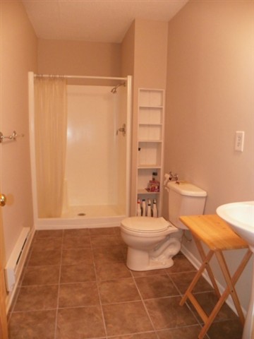 355 South Bridge Street Banner, IL 61520 - Photo 11 of 15 Gallery Image 11