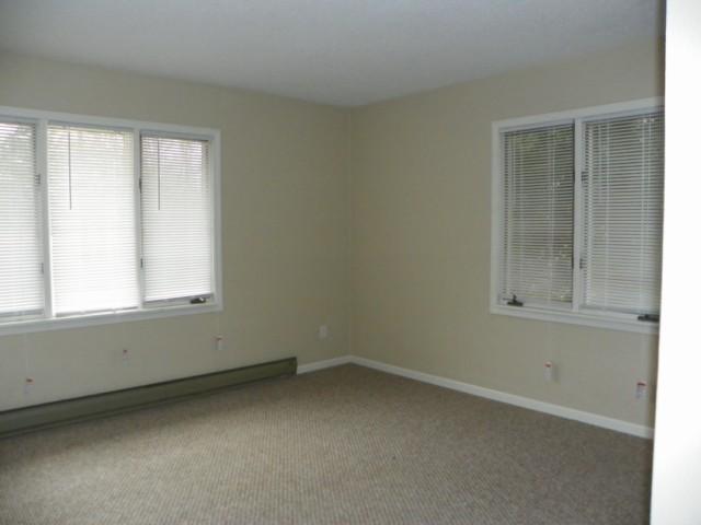 355 South Bridge Street Banner, IL 61520 - Photo 14 of 15 Gallery Image 14