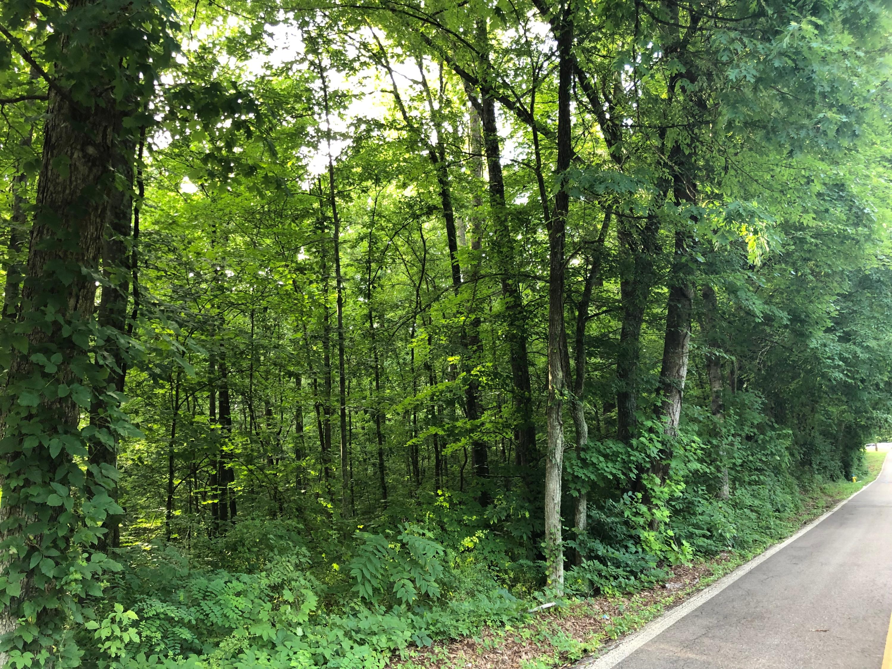 Cruze Road Knoxville, TN 37920 - Photo 1 of 13 IMG-8123