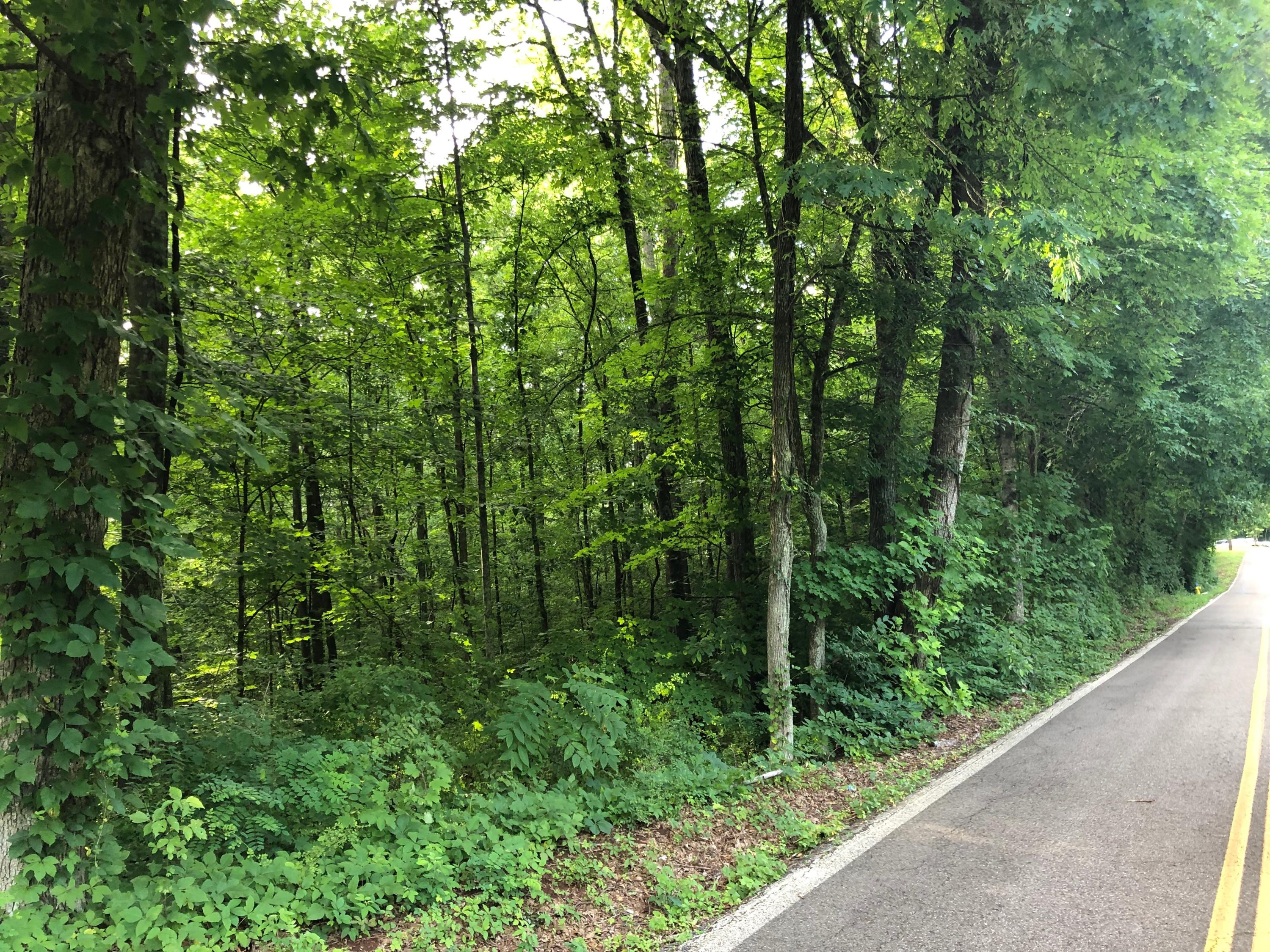 Cruze Road Knoxville, TN 37920 - Photo 2 of 13 IMG-8124