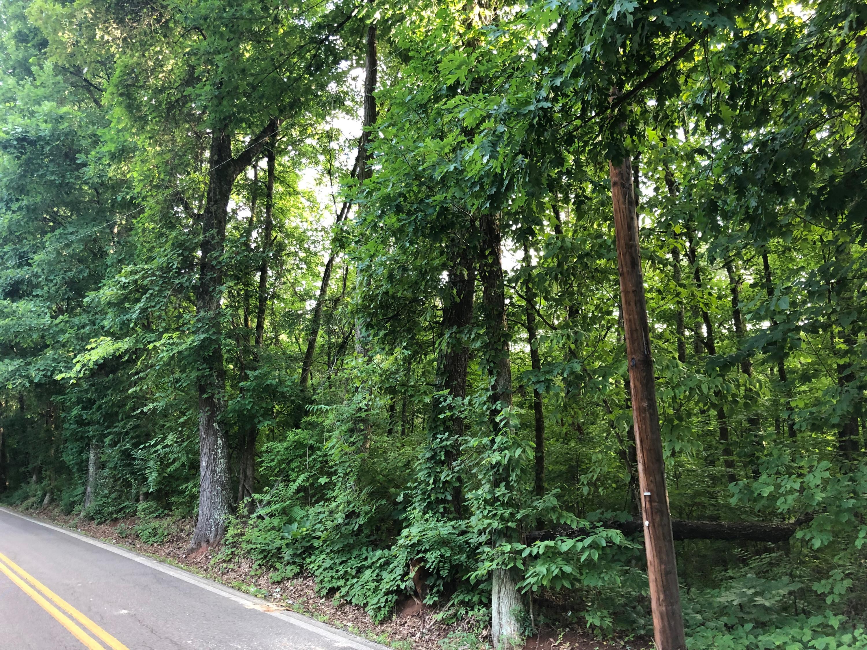 Cruze Road Knoxville, TN 37920 - Photo 3 of 13 IMG-8122