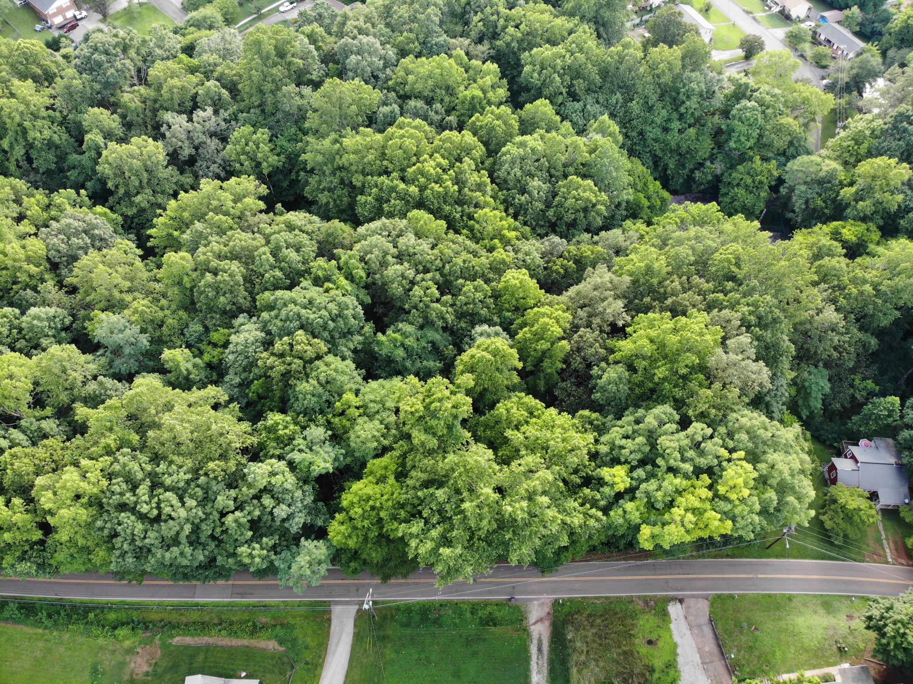 Cruze Road Knoxville, TN 37920 - Photo 6 of 13 DJI_0258
